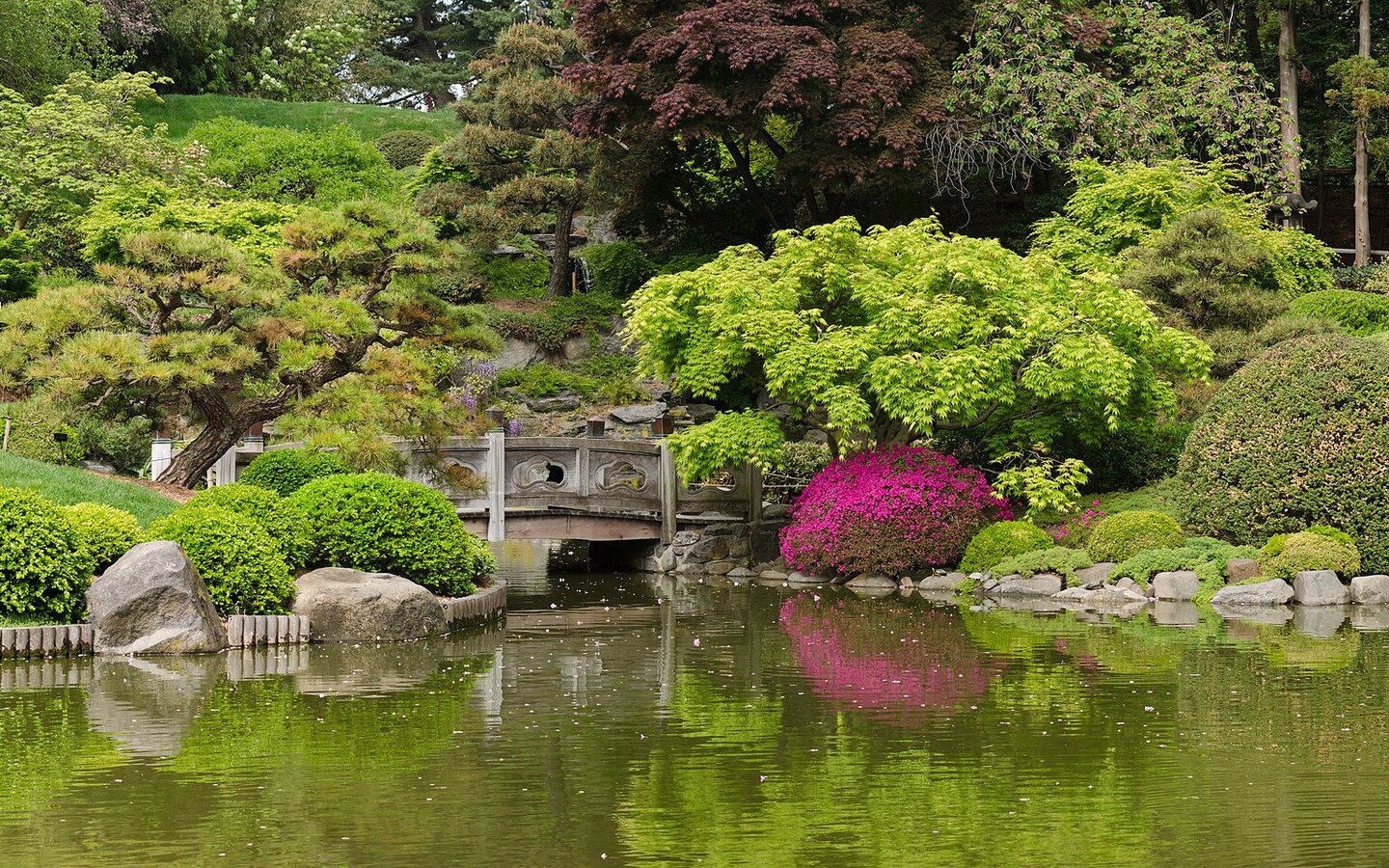 Brooklyn Botanic Garden — Garden in Brooklyn