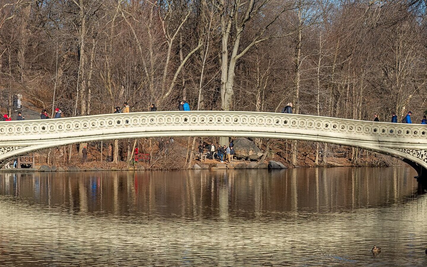 Central Park — Park in Manhattan